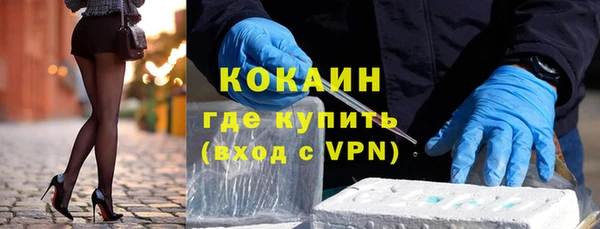 шишки Богородицк