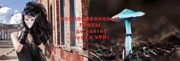 шишки Богородицк