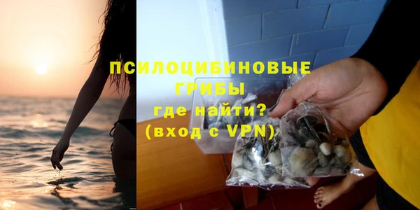 шишки Богородицк