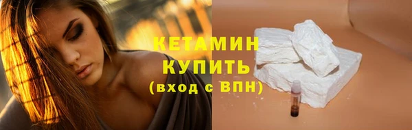 индика Гусев