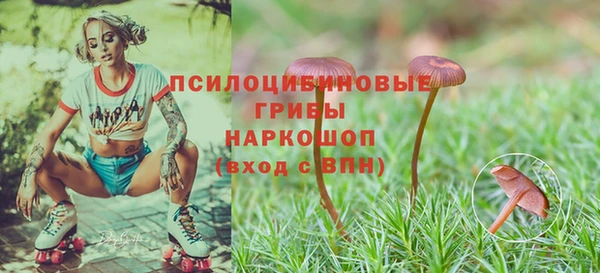 mix Богородск