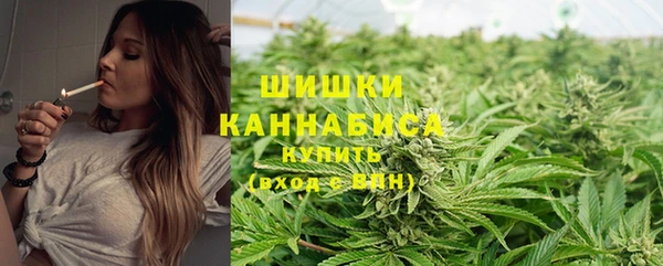 шишки Богородицк