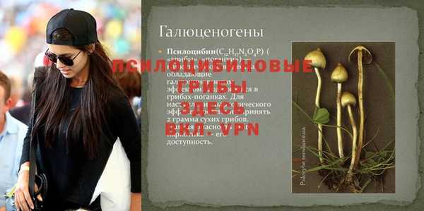 дживик Богданович