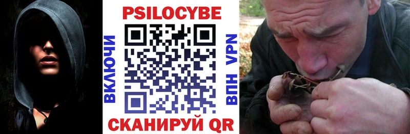Галлюциногенные грибы ЛСД  hydra сайт  Купино 