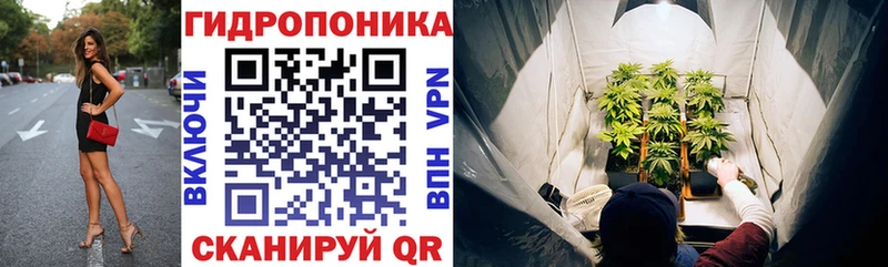 Шишки марихуана тримм  как найти   OMG ТОР  Купино 